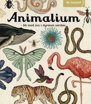 Animalium