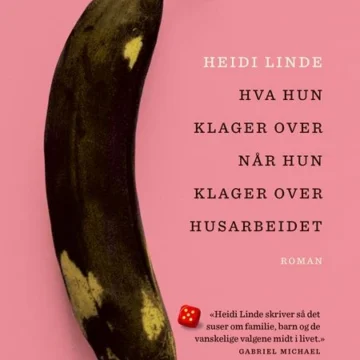 Hva hun klager over når hun klager over husarbeidet - Heidi Linde
