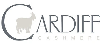 Cardiff logo